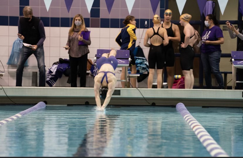 Lily Cramer dives into the water to start a race. 