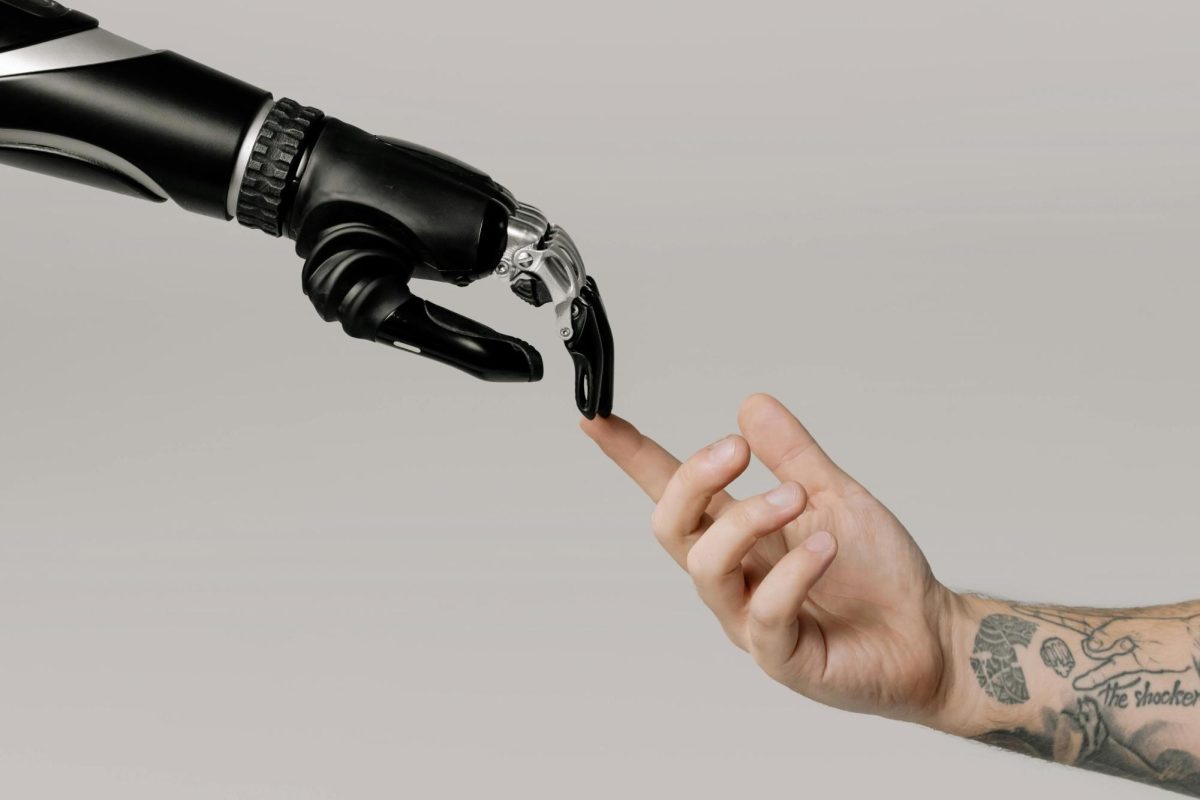How AI should stay in, and out, of school